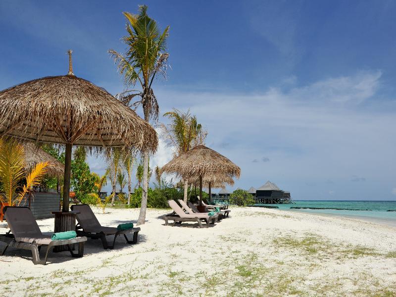 Island & (adults Only)