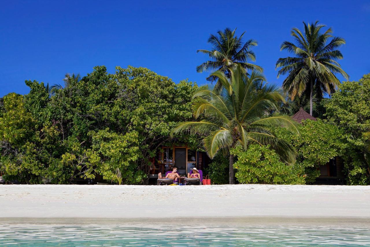 Island & (adults Only)