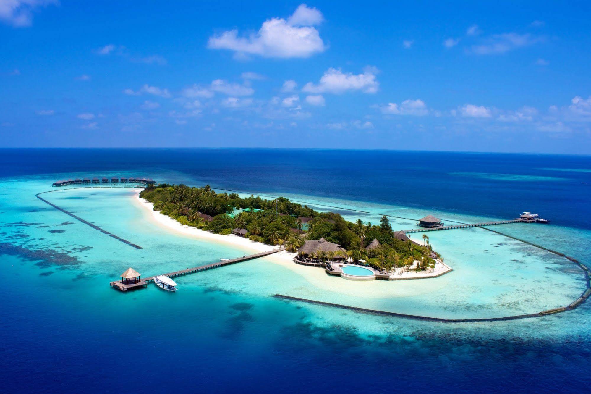 Island & (adults Only)
