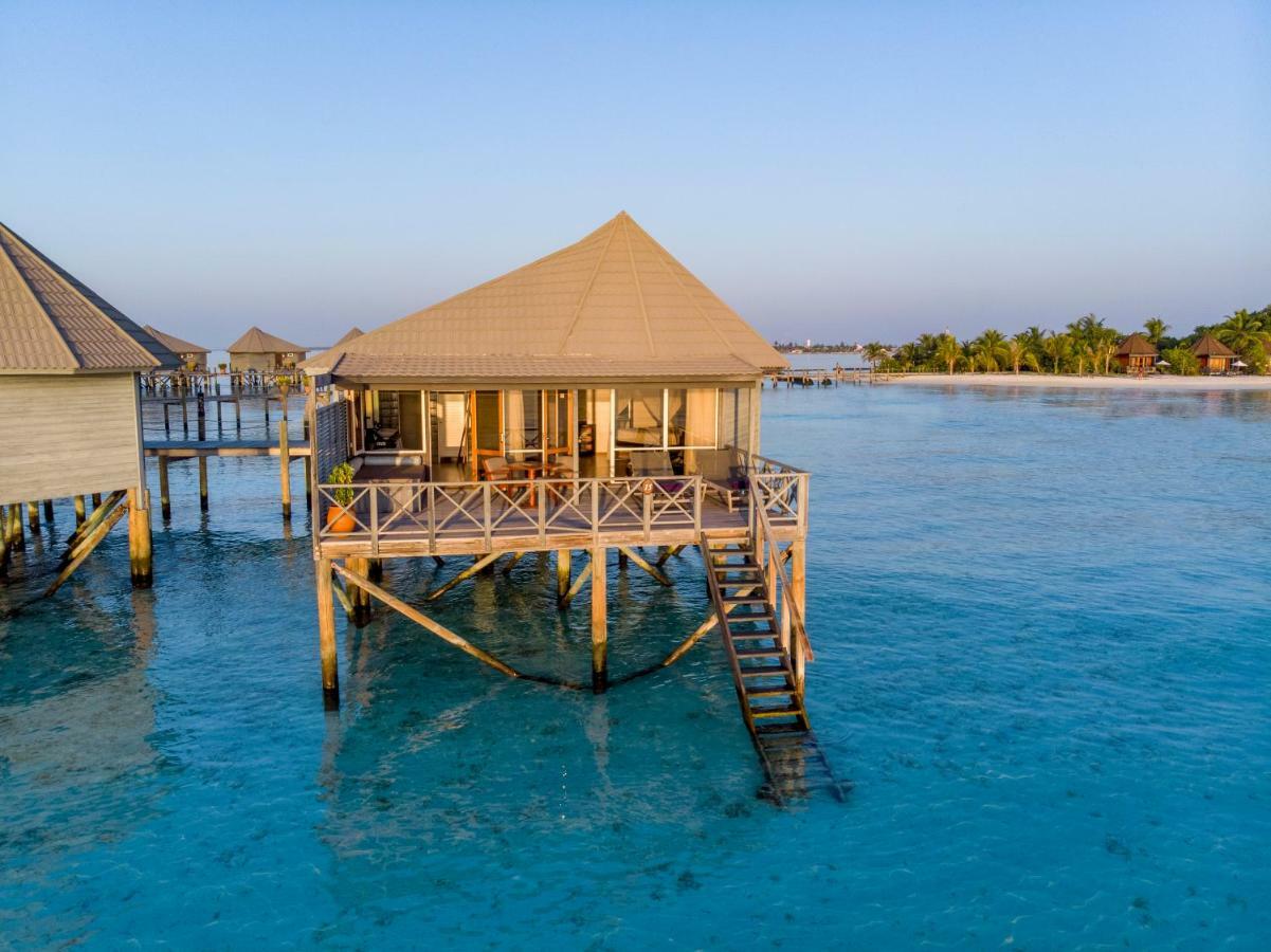 Island & (adults Only)